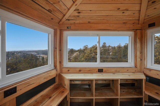 view of sauna / steam room featuring a healthy amount of sunlight