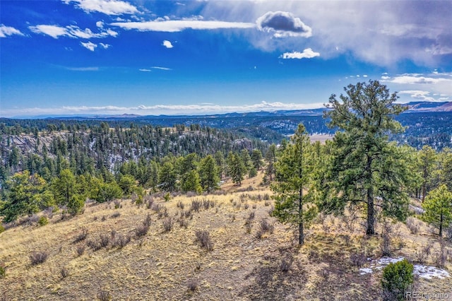 aerial view with a mountain view and a forest view