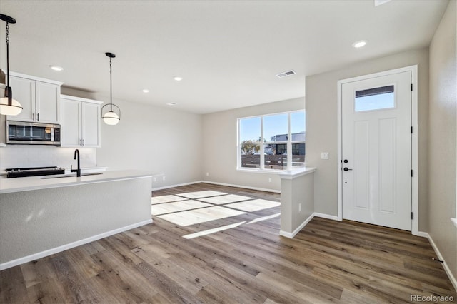 foyer entrance with hardwood / wood-style flooring and sink