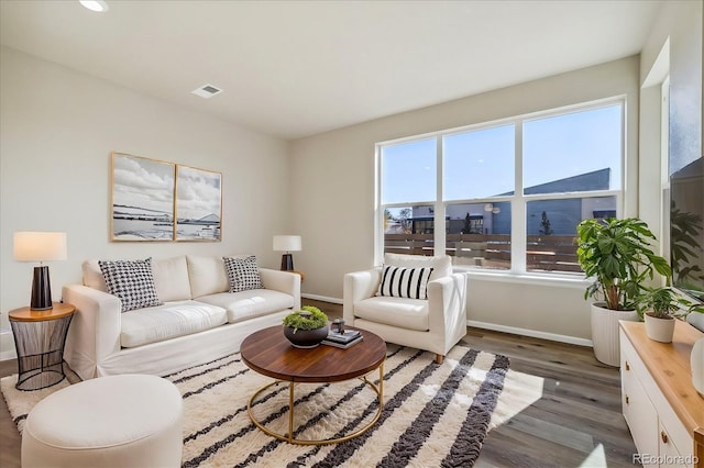 living room featuring dark wood-type flooring