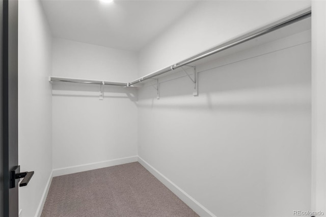 spacious closet with carpet floors