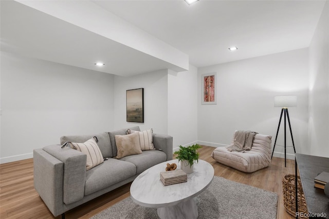 living room featuring light wood-type flooring