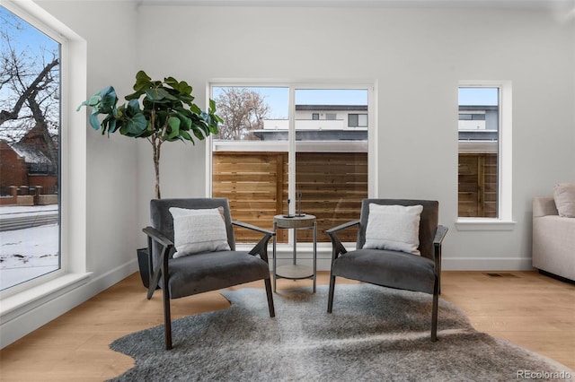 living area featuring light hardwood / wood-style floors and plenty of natural light