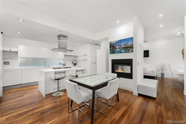 dining room featuring a multi sided fireplace and dark wood-type flooring