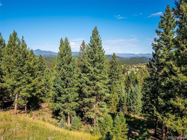 property view of mountains featuring a forest view