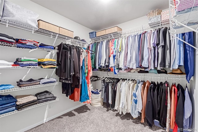 spacious closet with carpet floors