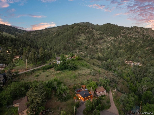 2874 SE Grapevine Rd, Idledale, CO 80453 - view of mountain backdrop featuring a forest