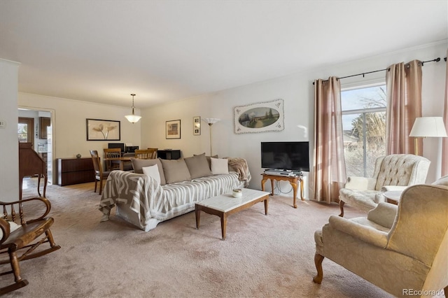 living area featuring light carpet and crown molding