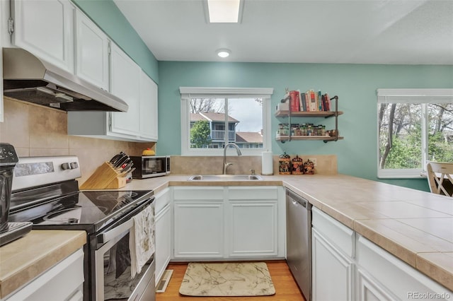 387 Upham St, Lakewood, CO 80226 - kitchen featuring stainless steel appliances, a sink, under cabinet range hood, and healthy amount of natural light