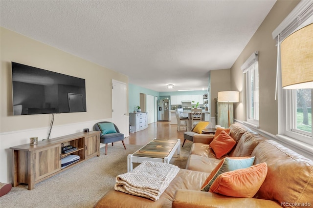 387 Upham St, Lakewood, CO 80226 - carpeted living room featuring a textured ceiling