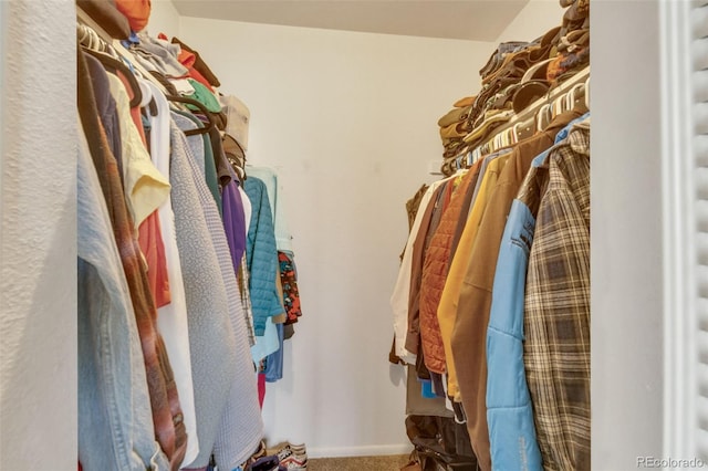 387 Upham St, Lakewood, CO 80226 - spacious closet with carpet