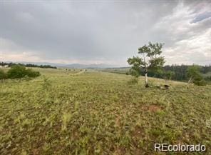 view of local wilderness with a rural view