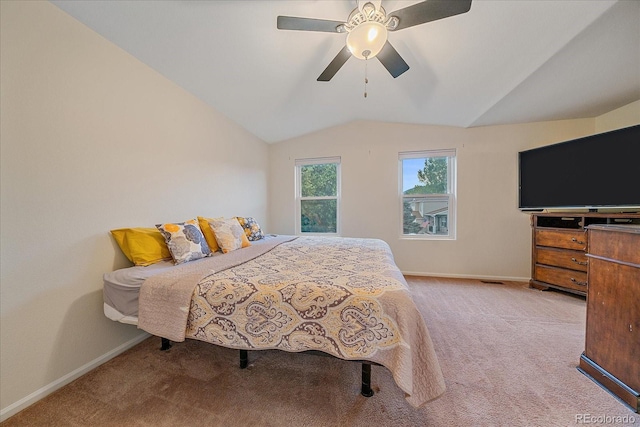 10441 Beech St, Littleton, CO 80125 - photo 15