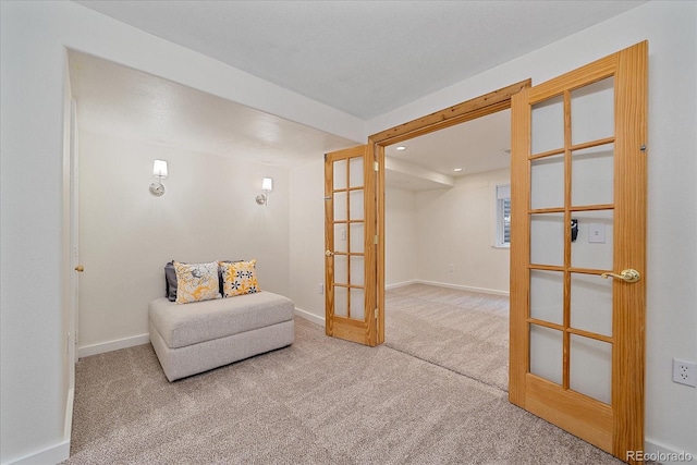 10441 Beech St, Littleton, CO 80125 - photo 24