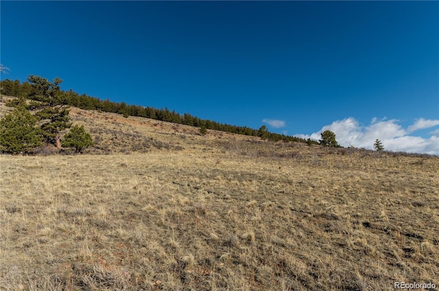 3503 Redhill Rd, Fairplay, CO 80440