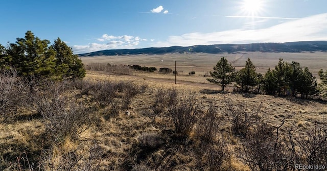 3503 Redhill Rd, Fairplay, CO 80440