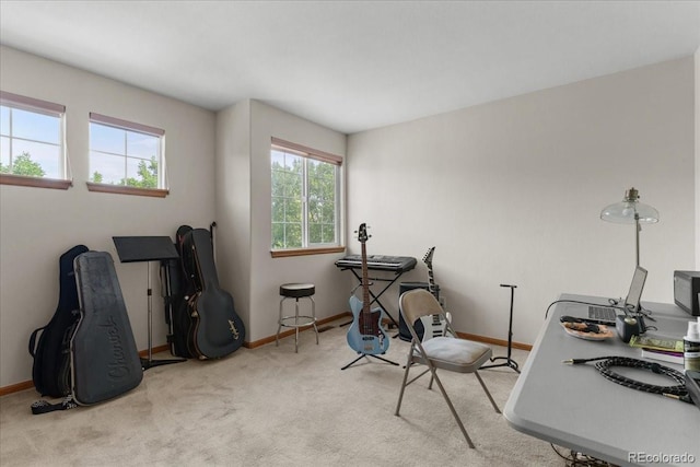 5052 Crane Dr, Brighton, CO 80601 - photo 33