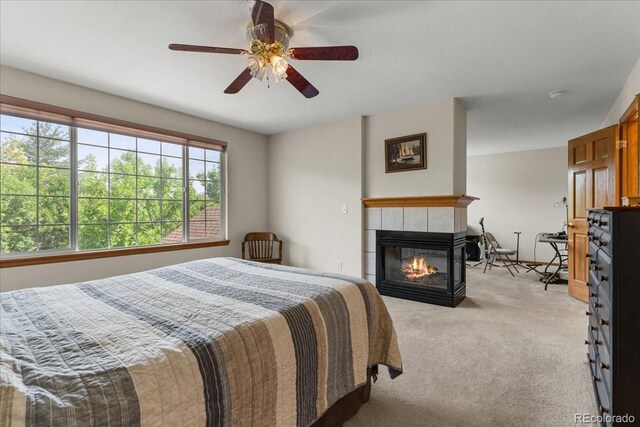 5052 Crane Dr, Brighton, CO 80601 - photo 35