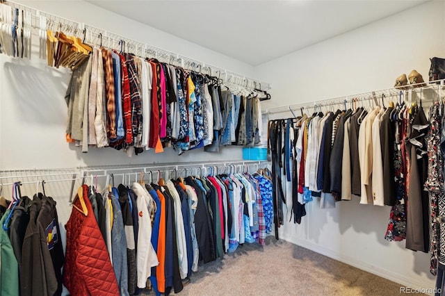 spacious closet with carpet flooring