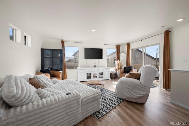 living room featuring hardwood / wood-style floors