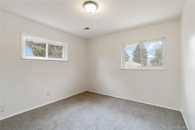 2743 S Linley Ct, Denver, CO 80236 - photo 23