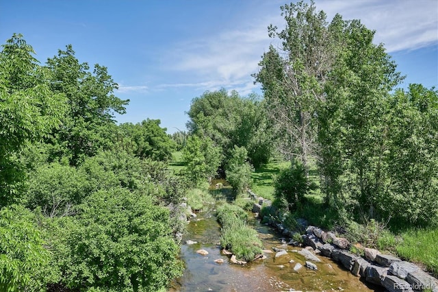 view of nature featuring a forest view