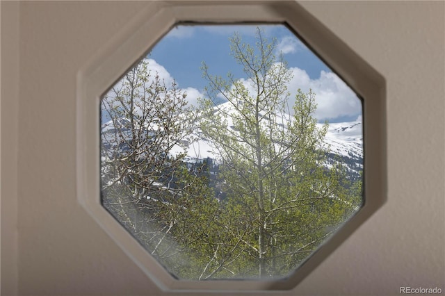218 Highland Ter, Breckenridge, CO 80424 - detailed view