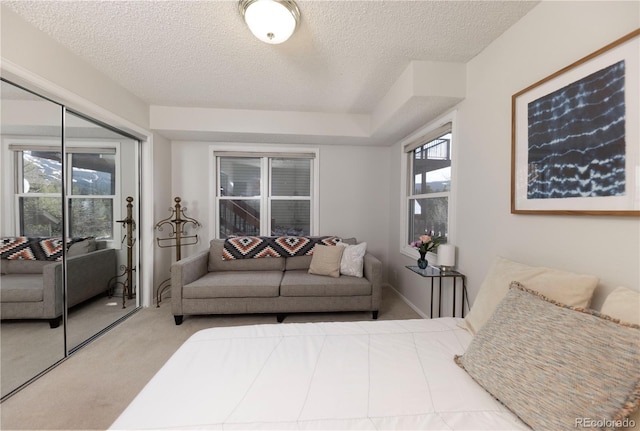 218 Highland Ter, Breckenridge, CO 80424 - bedroom with carpet, multiple windows, a textured ceiling, and access to exterior