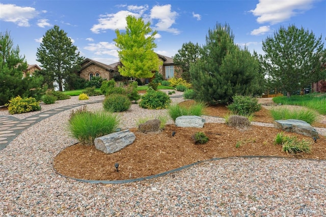 4651 Sonado Pl, Parker, CO 80134 - view of yard