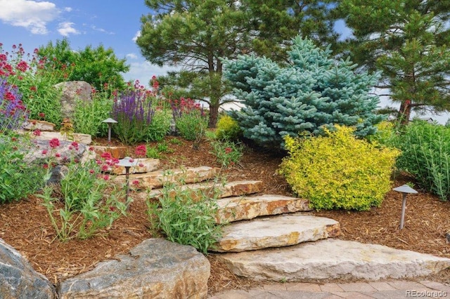 4651 Sonado Pl, Parker, CO 80134 - view of yard