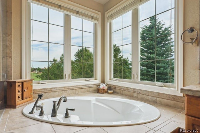 4651 Sonado Pl, Parker, CO 80134 - full bathroom featuring plenty of natural light and a garden tub