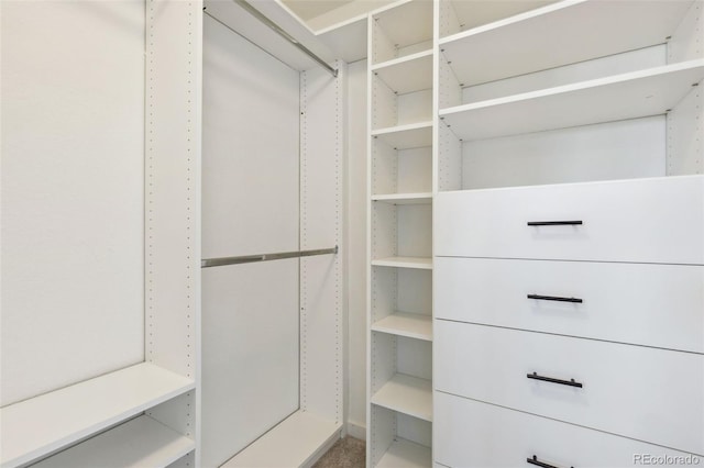 view of walk in closet