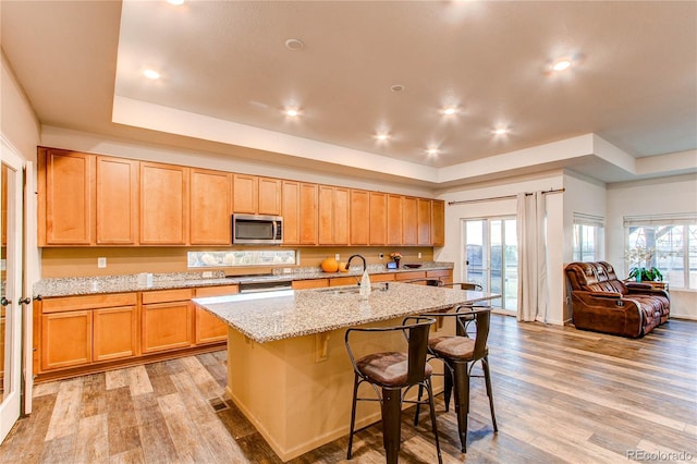 kitchen featuring light stone countertops, sink, light wood-type flooring, and a kitchen island with sink