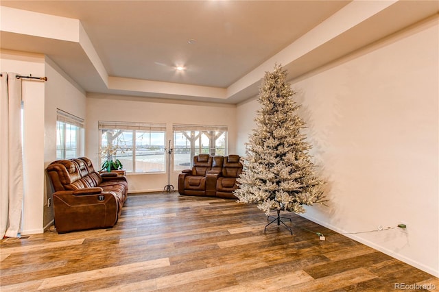 living area featuring hardwood / wood-style floors and a raised ceiling