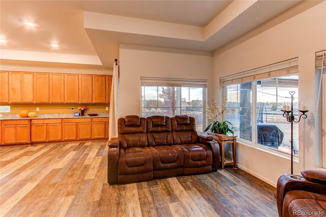 living room featuring light hardwood / wood-style floors and a raised ceiling