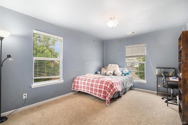 14058 Elizabeth St, Thornton, CO 80602 - photo 19