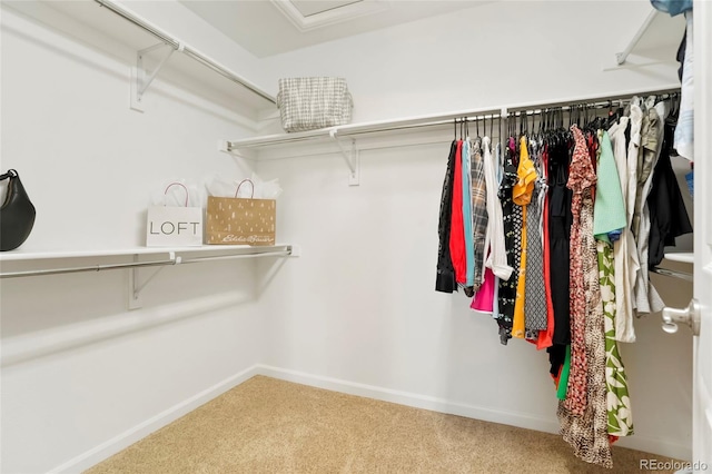 8427 E 35th Ave, Denver, CO 80238 - walk in closet featuring carpet flooring