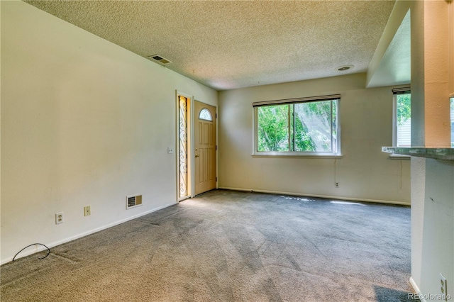 3351 S Field St Unit 191, Lakewood, CO 80227 - empty room featuring healthy amount of natural light, carpet floors, a textured ceiling, and baseboards