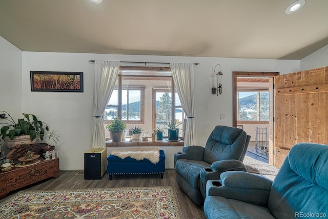 living room featuring dark wood-type flooring and a wealth of natural light