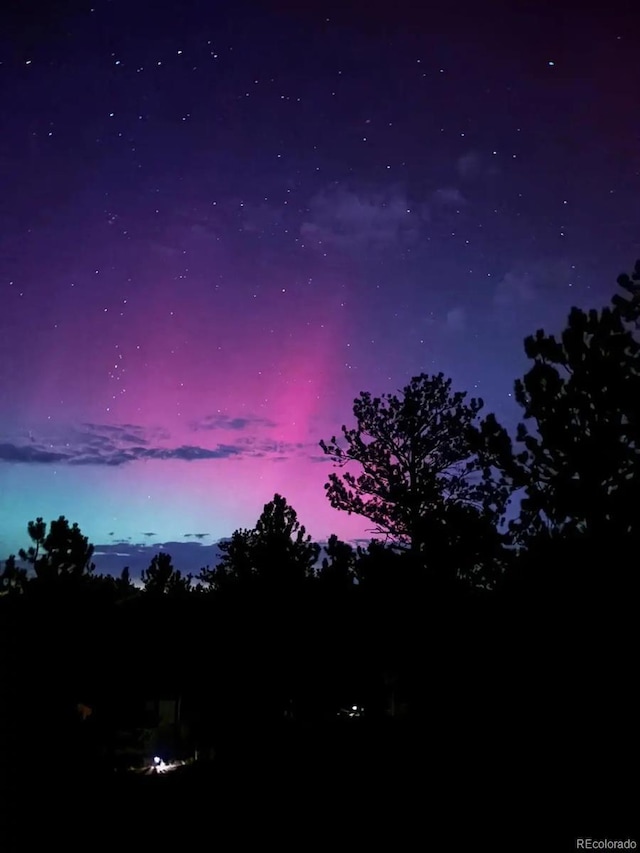 view of nature at dusk