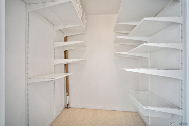 1625 Larimer St Unit 3004, Denver, CO 80202 - walk in closet with light carpet