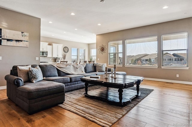 living room with light wood-type flooring