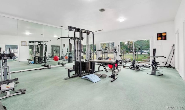 gym featuring carpet