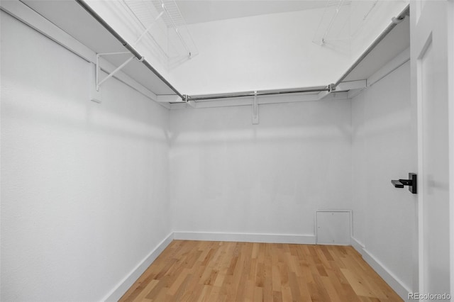 7700 E 29th Ave Unit 102, Denver, CO 80238 - walk in closet featuring light wood-style flooring