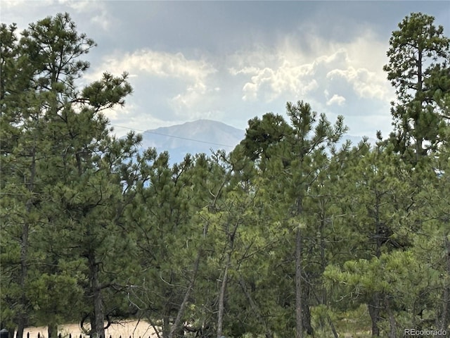 7780 Mcferran Rd, Colorado Springs, CO 80908 - photo 2