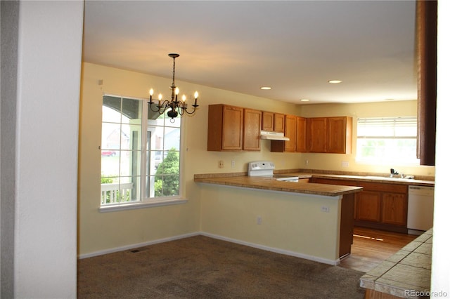213 Mesa St, Brighton, CO 80601 - kitchen with white appliances, under cabinet range hood, a chandelier, decorative light fixtures, and carpet flooring