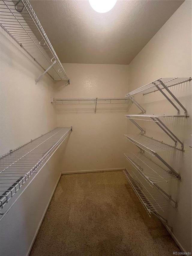 213 Mesa St, Brighton, CO 80601 - walk in closet featuring carpet