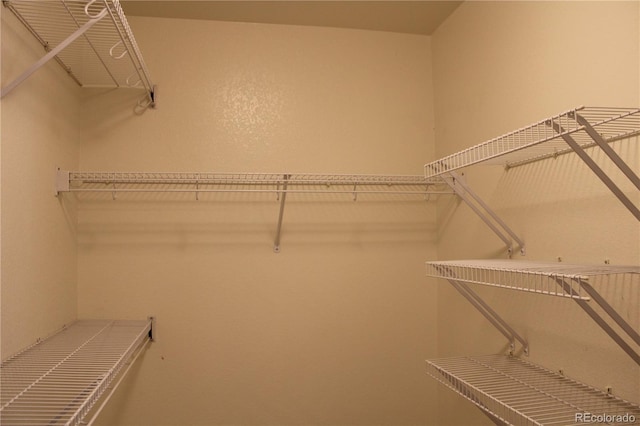213 Mesa St, Brighton, CO 80601 - view of walk in closet