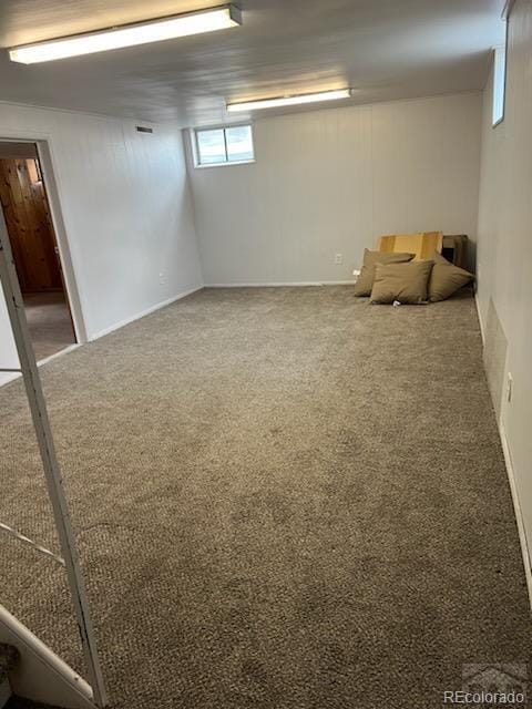 basement featuring carpet