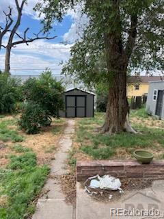 view of yard featuring a shed